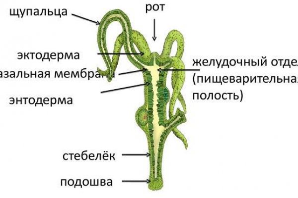 Ссылка на кракен